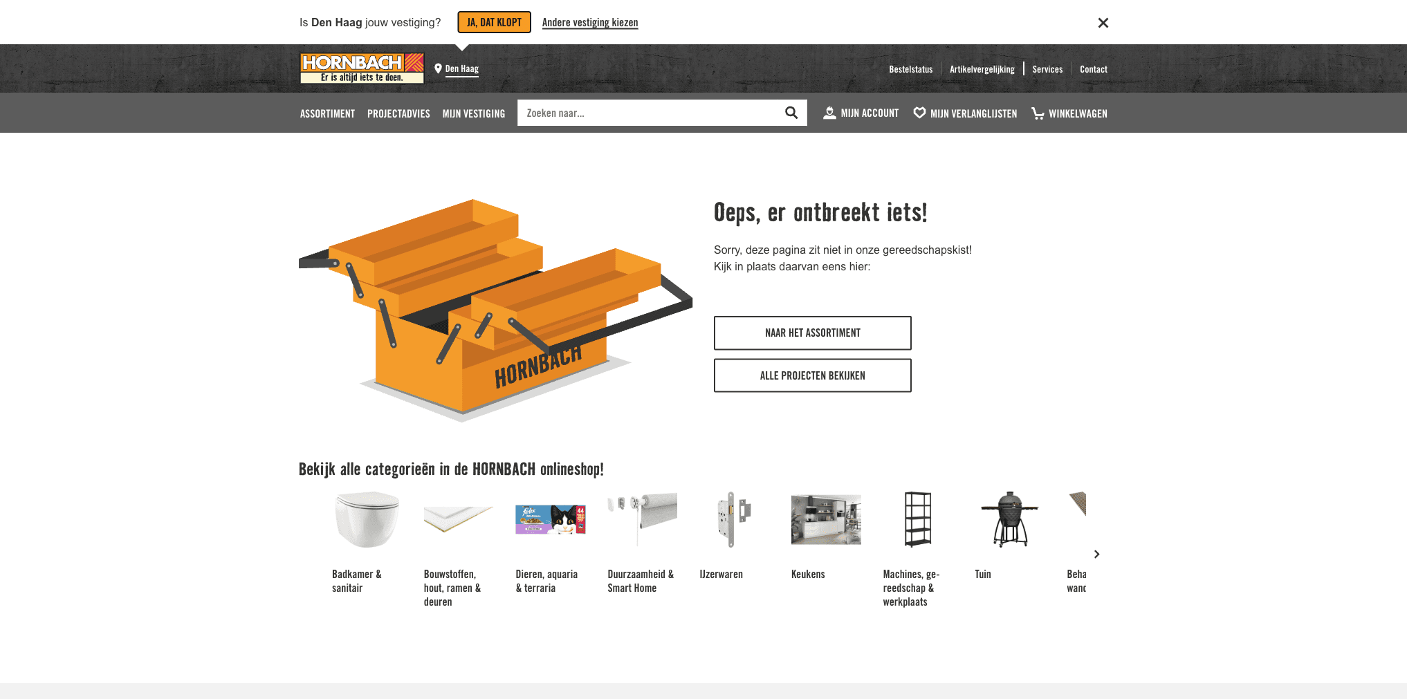 HORNBACH product page showing power tool with price and specifications