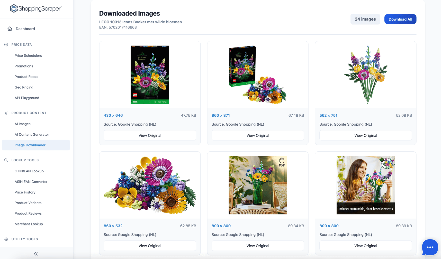 Image Downloader showing 24 downloaded product images for LEGO 10313 with dimensions and source info